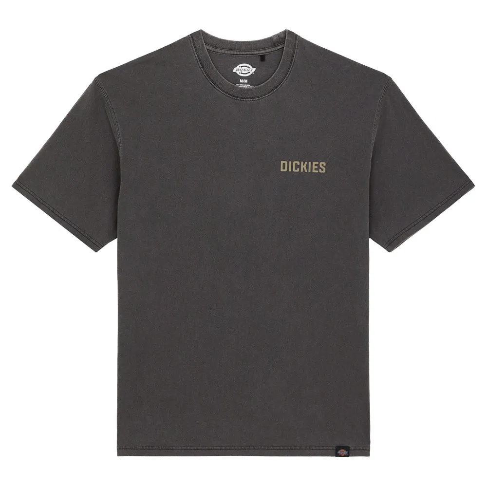 

Футболка Dickies High Flying, серый