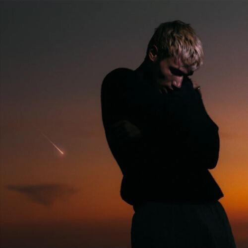 

Виниловая пластинка Zucker, Jeremy: Love Is Not Dying