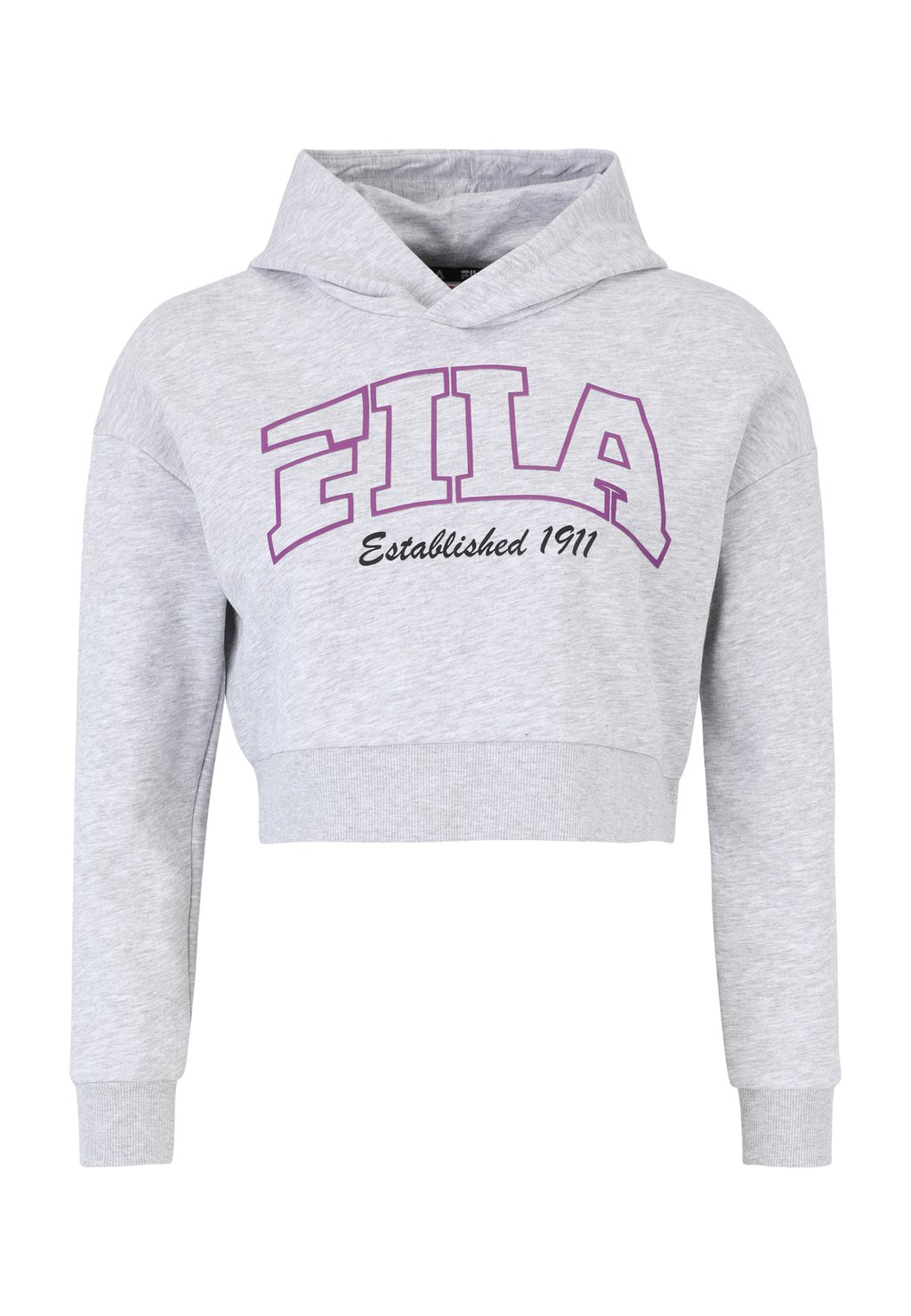 

Толстовка с капюшоном LUDORF OVERSIZED CROPPED GRAPHIC Fila, серый