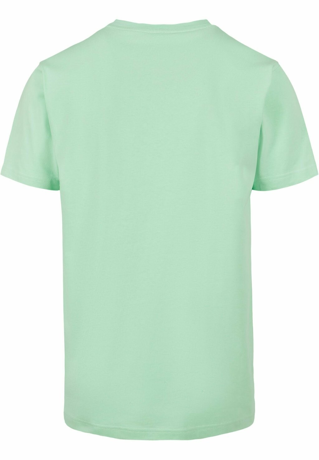 

Футболка с принтом SEAGULL SNEAKERS TEE Mister Tee, мята