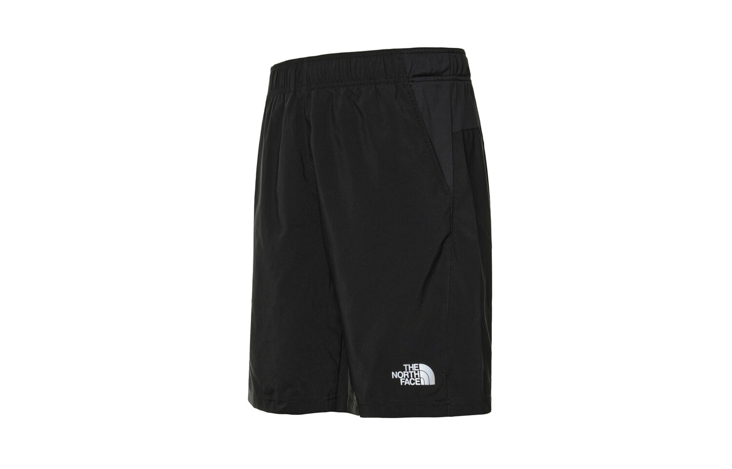 

Повседневные шорты для мужчин The North Face