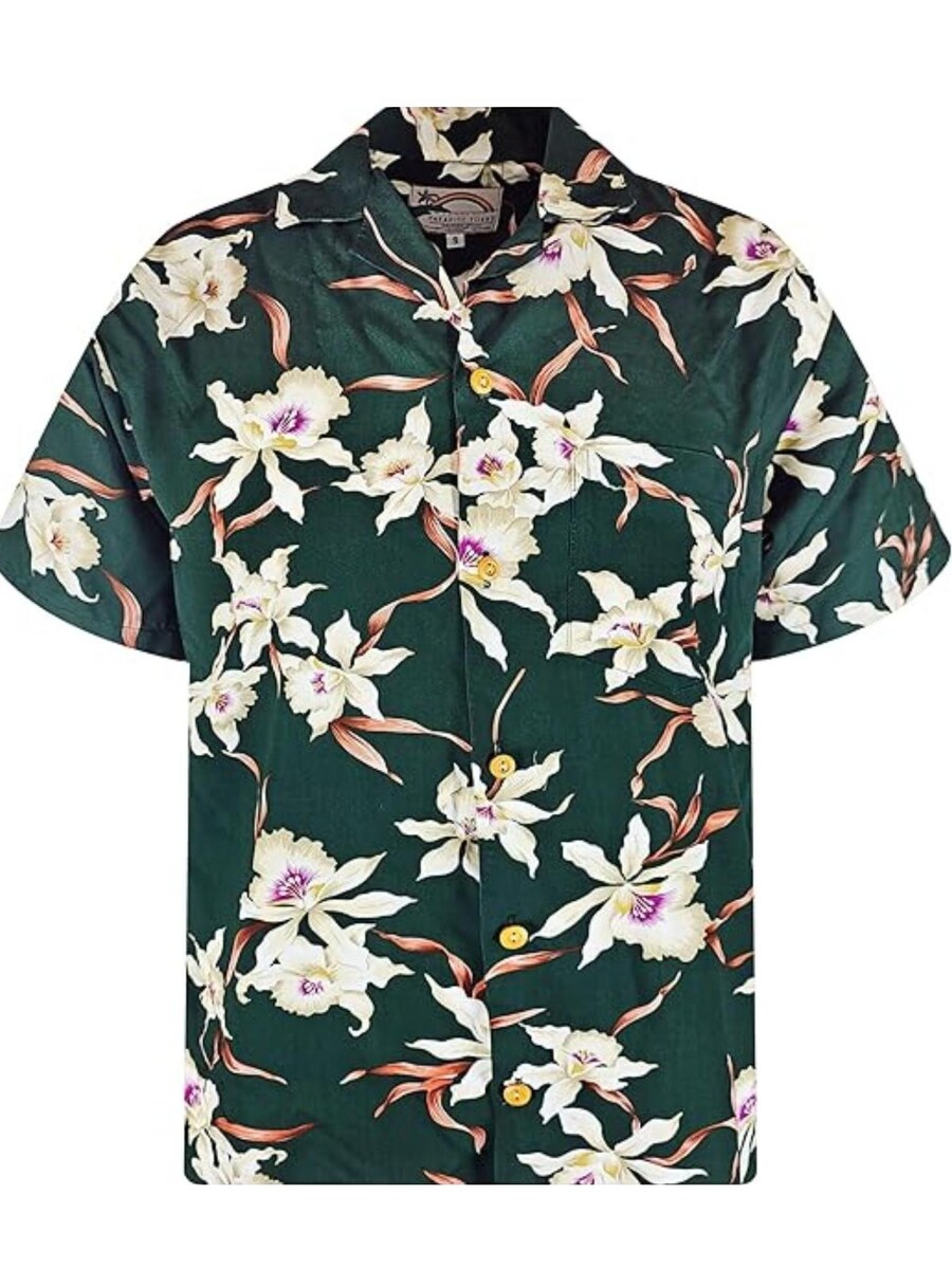 

Рубашка на пуговицах классического кроя Paradise Found Tom, зеленый