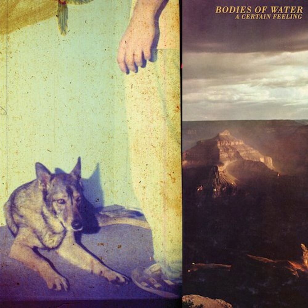 

Диск CD A Certain Feeling - Bodies Of Water