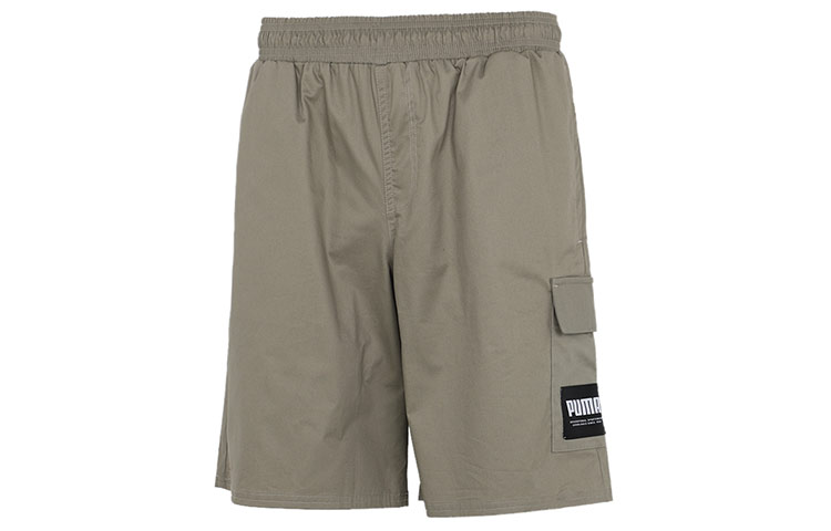 

Повседневные шорты мужские Vetiver Gray PUMA