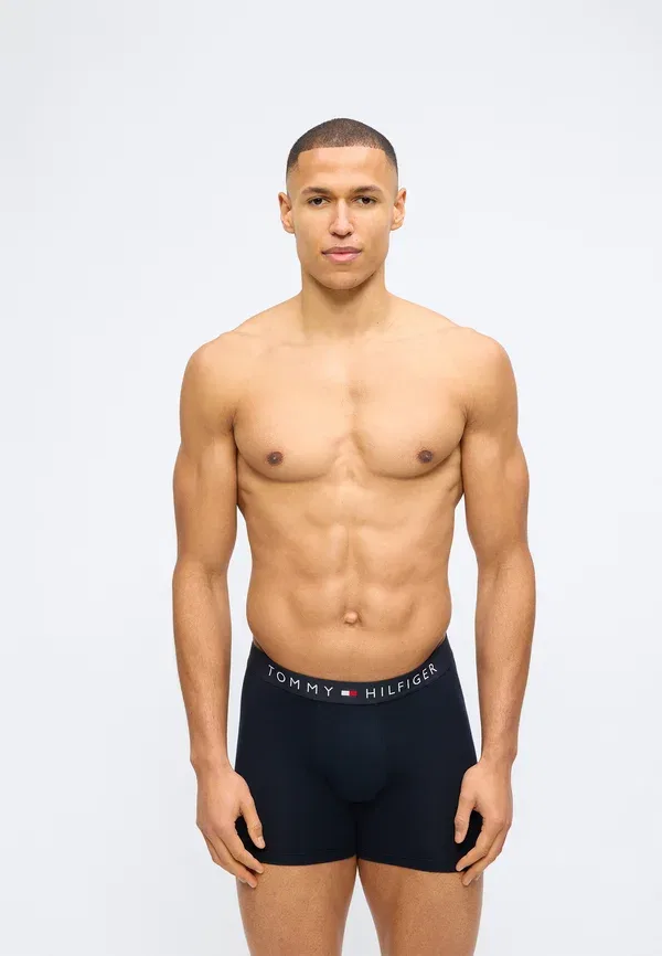 Трусы боксеры 3 шт Tommy Hilfiger th original logo boxer briefs, пустынное небо — фото 4