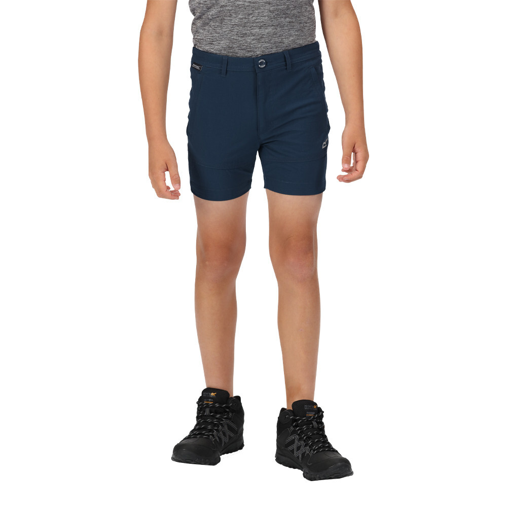 

Спортивные шорты Regatta Highton Junior Walking, синий