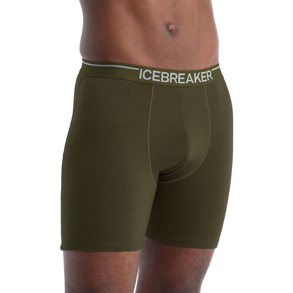 

Боксеры Icebreaker Anatomica Long Merino, зеленый
