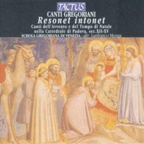 

CD диск Gregorian School of Venice / Menga: Resonet Intonet