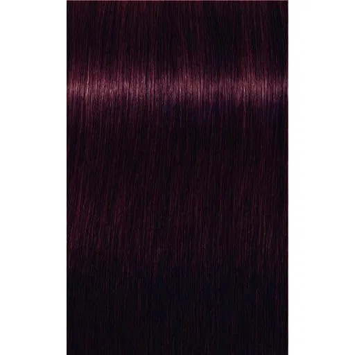 Краска для волос Igora Royal 4-99 от Schwarzkopf, 60 мл, 6 шт. No