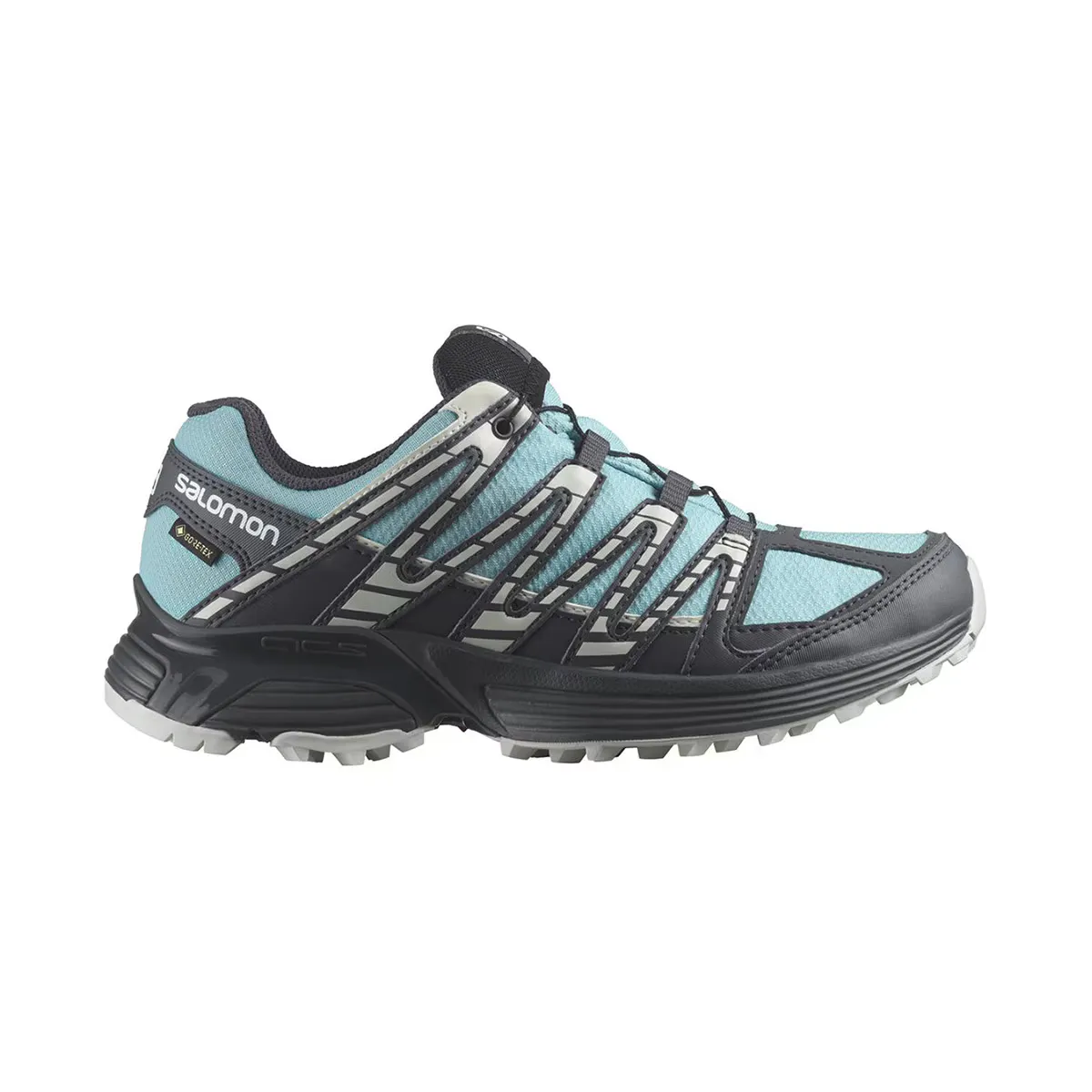 Женские кроссовки для трейлраннинга XT Reckon GTX W Salomon, синий