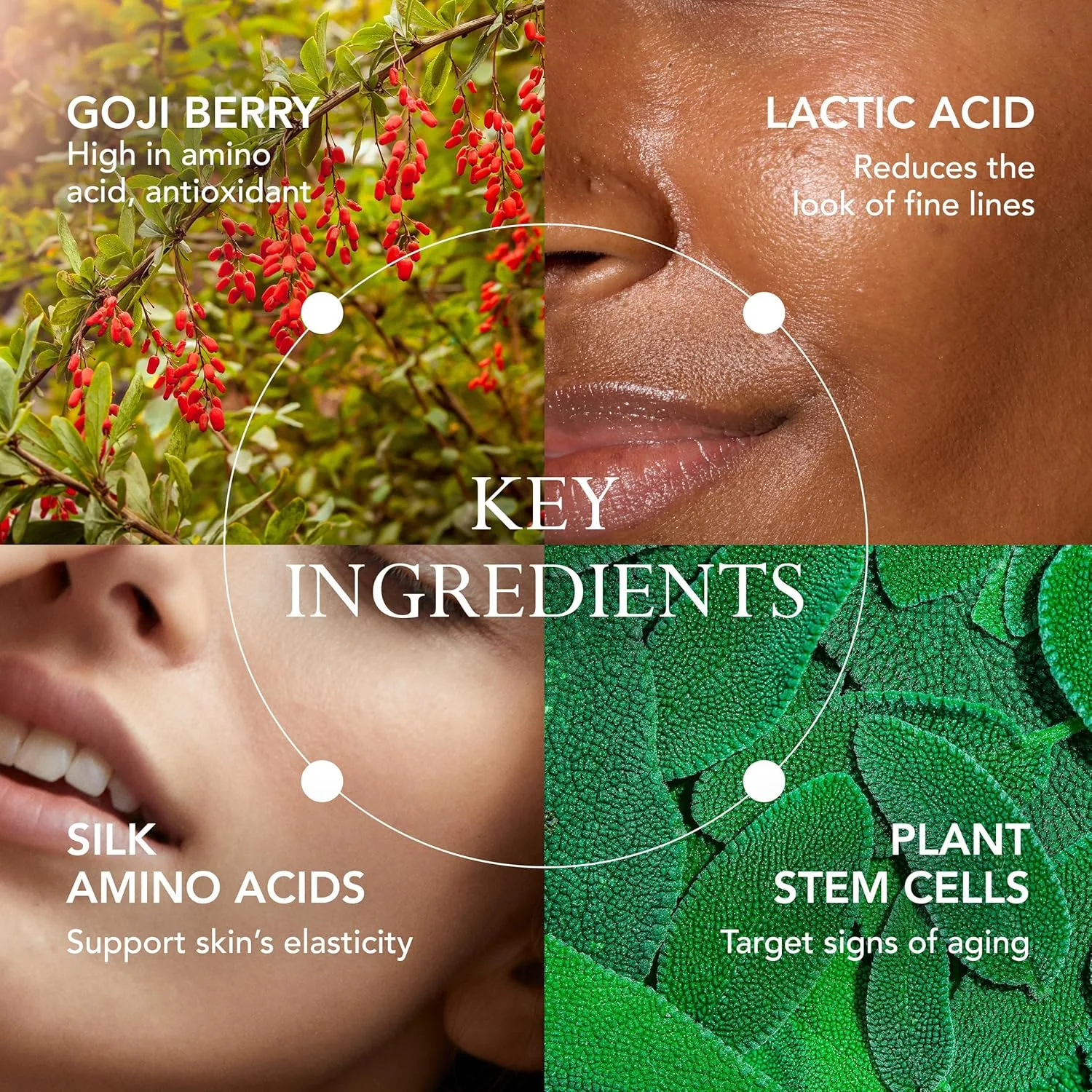 KAT BURKI Goji Refining Essence с ягодами годжи, 5% молочной кислотой и аминокислотами шелка, увлажняющая и выравнивающая тон кожи эссенция для лица, 113 мл — фото 4