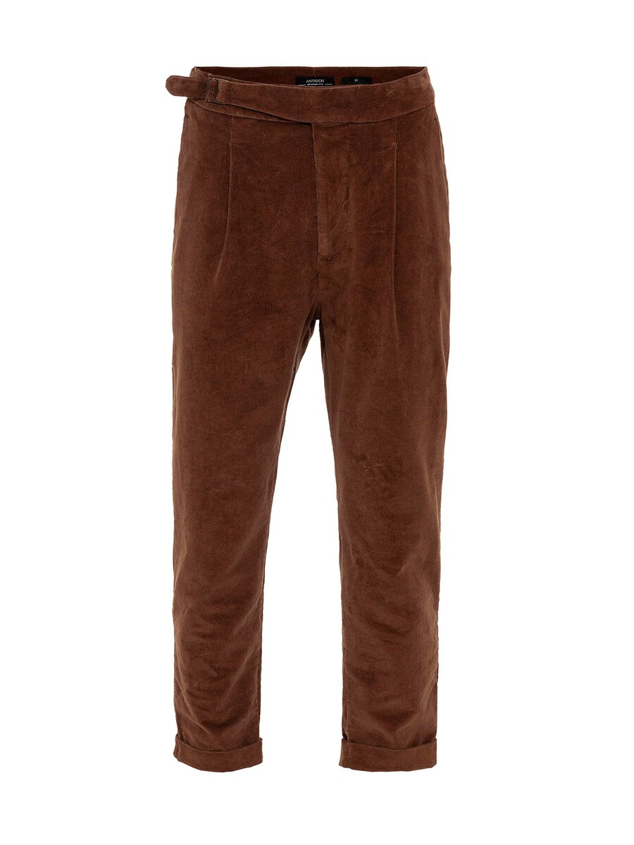 

Брюки Antioch Regular Pleat-Front Pants, цвет Mocha