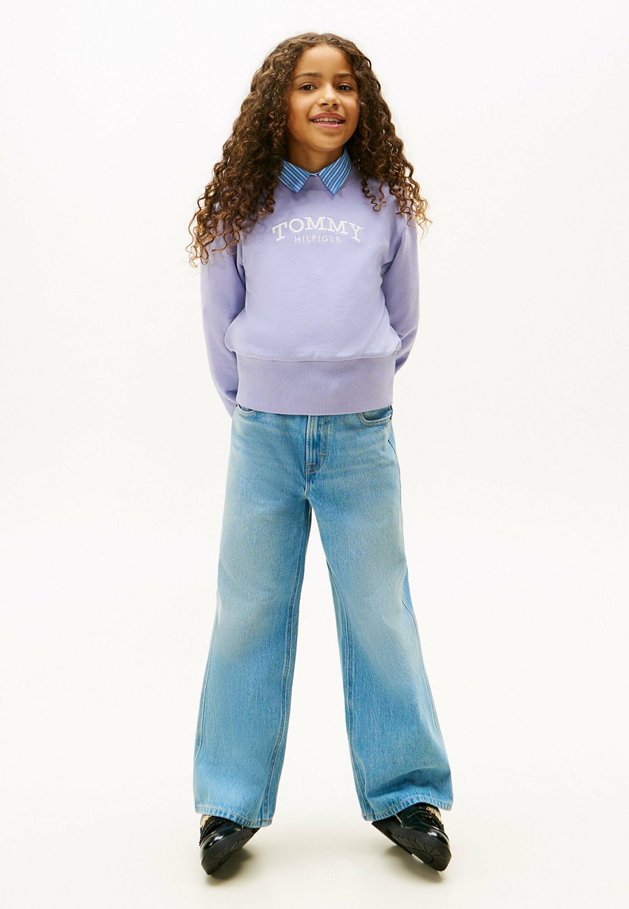 

Толстовка Tommy Hilfiger EMBROIDERY CREW NECK , Periwinkle Dusk/Purple