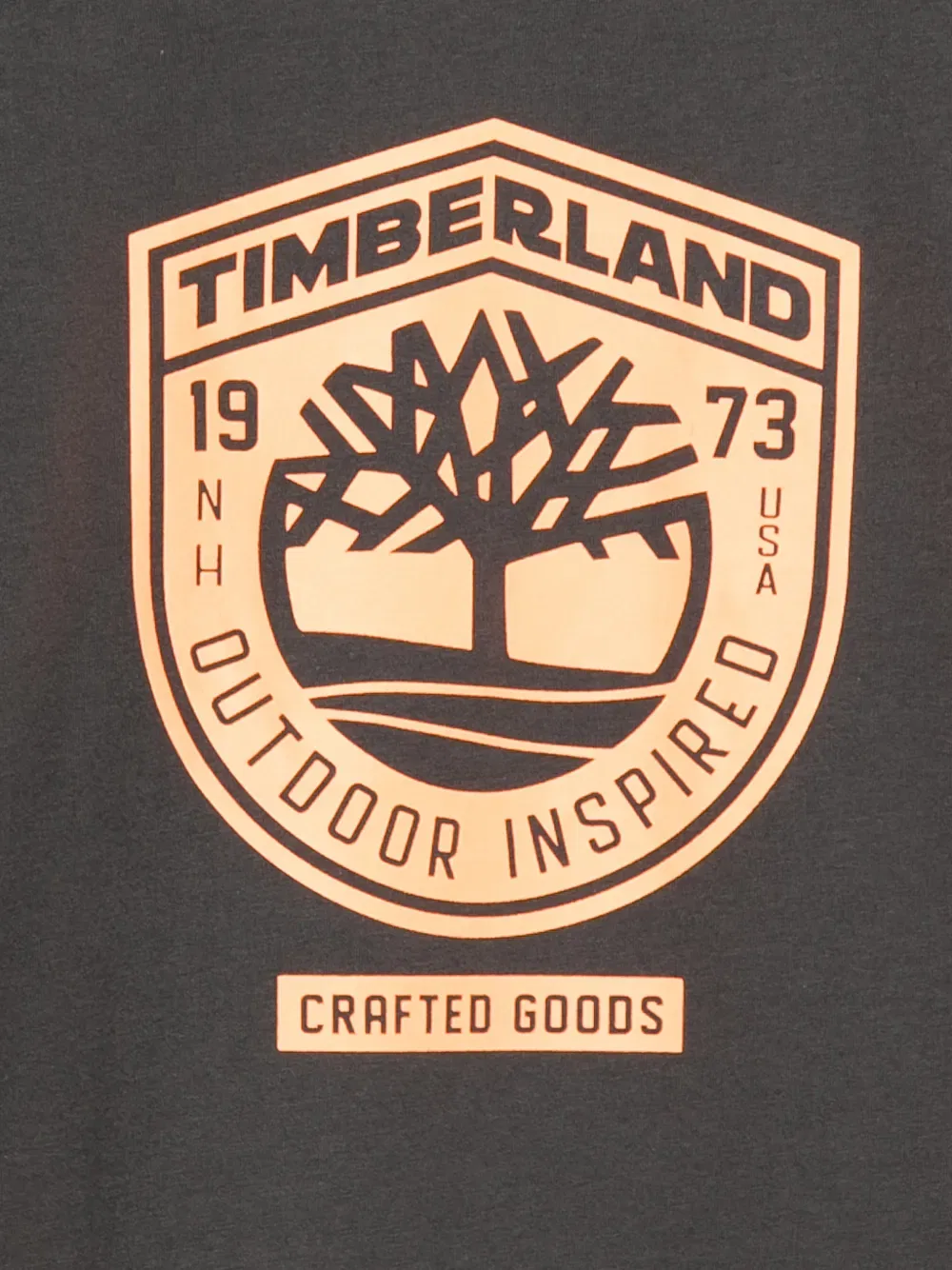Футболка с логотипом Timberland Kids, серый — фото 3