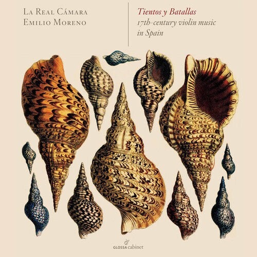 

CD диск Falconieri, Andrea / De Victoria / Bovicelli: 17th Century Violin Music in Spain