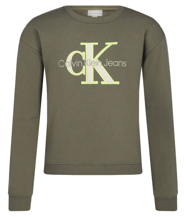 

Толстовка детская Calvin Klein Jeans с логотипом, зеленый