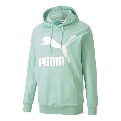 

Толстовка classics casual printing green Puma, зеленый