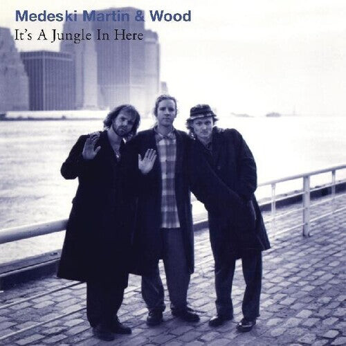 

Виниловая пластинка Medeski, Martin & Wood: It's A Jungle In Here