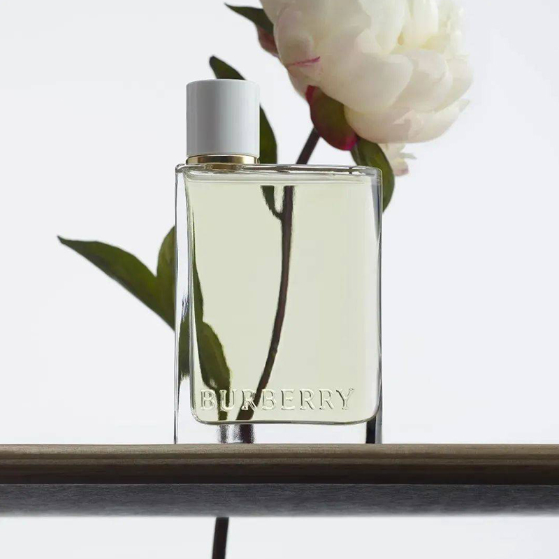 Burberry Зеленый изюм мягкие конфеты парфюмы eau de toilette фруктовый 50мл+10мл — фото 4