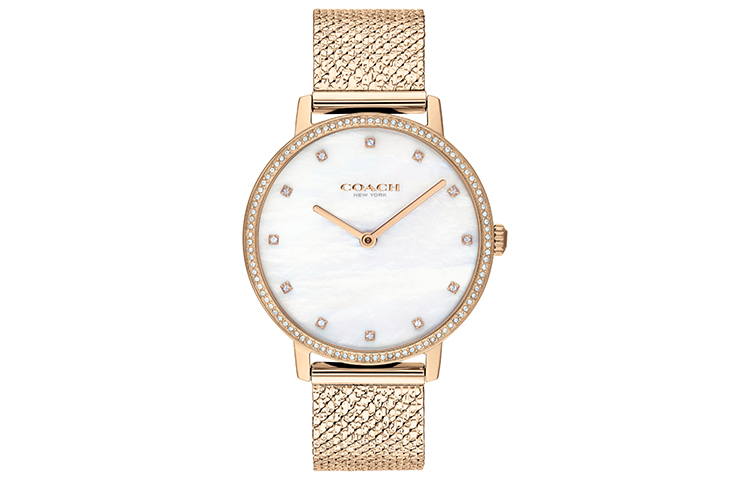 

COACH Часы AUDREY Collection, кварцевый механизм, браслет из нержавеющей стали, диаметр 35 мм, серебристый циферблат, женские