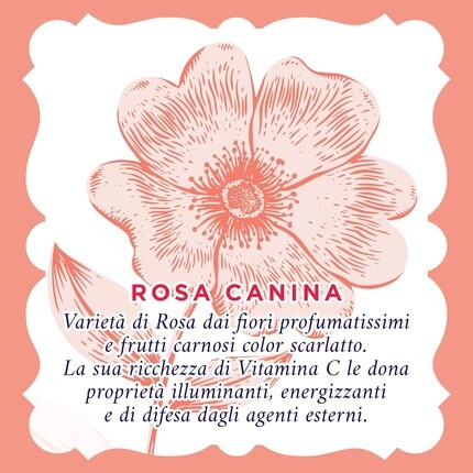Крем для лица Acqua Alle Rose — Brightening Lavaviso Gel с витамином С из шиповника Очищающее средство для лица для, 200 мл — фото 3