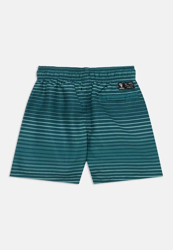 Плавки мальчиковые Cestery stripe boys swimming shorts Brunotti, зеленый — фото 2