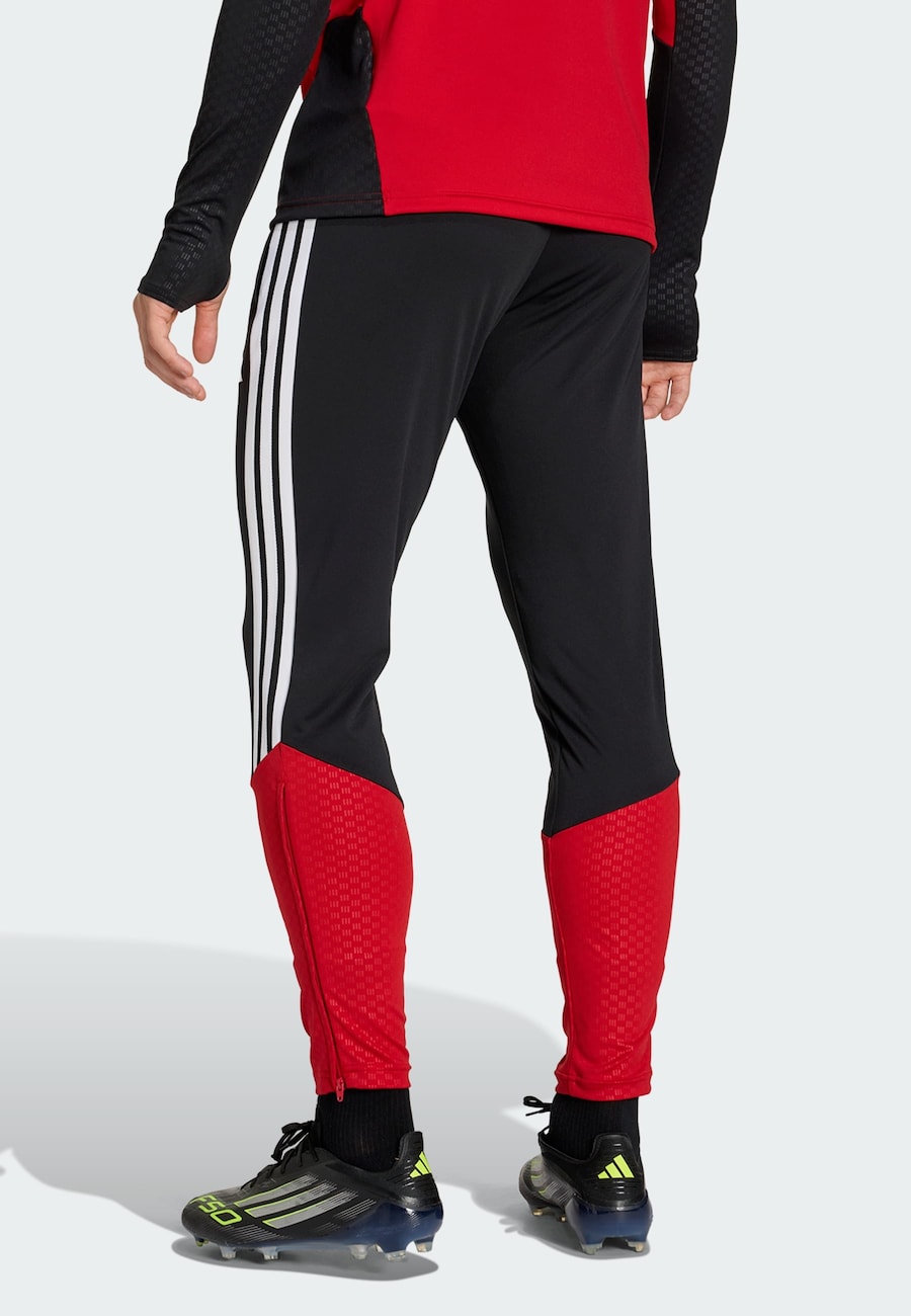 Обычные спортивные штаны ADIDAS PERFORMANCE Deutschland 26 Tiro, черный — фото 3