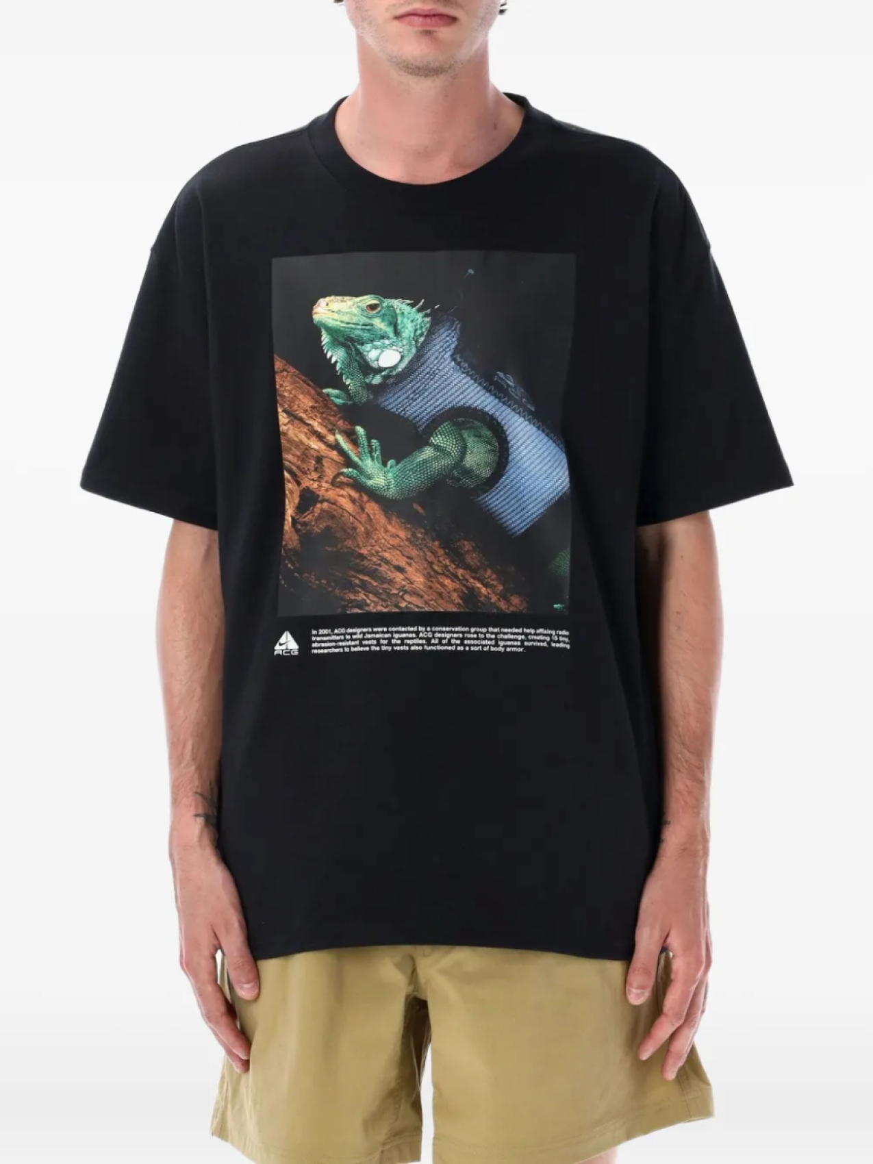 

Nike футболка ACG Iguana, черный