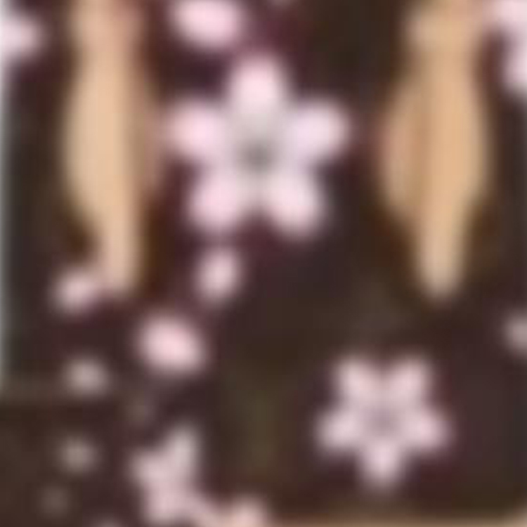 LOUIS VUITTON Сумка-ведро Такаси Мураками Нано Сакура Коричневый — фото 3