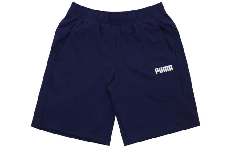 

Мужские повседневные шорты Puma, цвет Blue