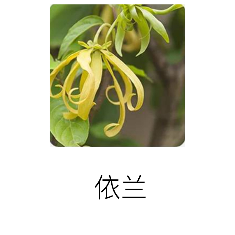 PRADA Туалетная вода New Year Limited Tuberose Lady с аккордом пот-пурри и нотами лимона и иланг-иланг, 50 мл/100 мл — фото 3