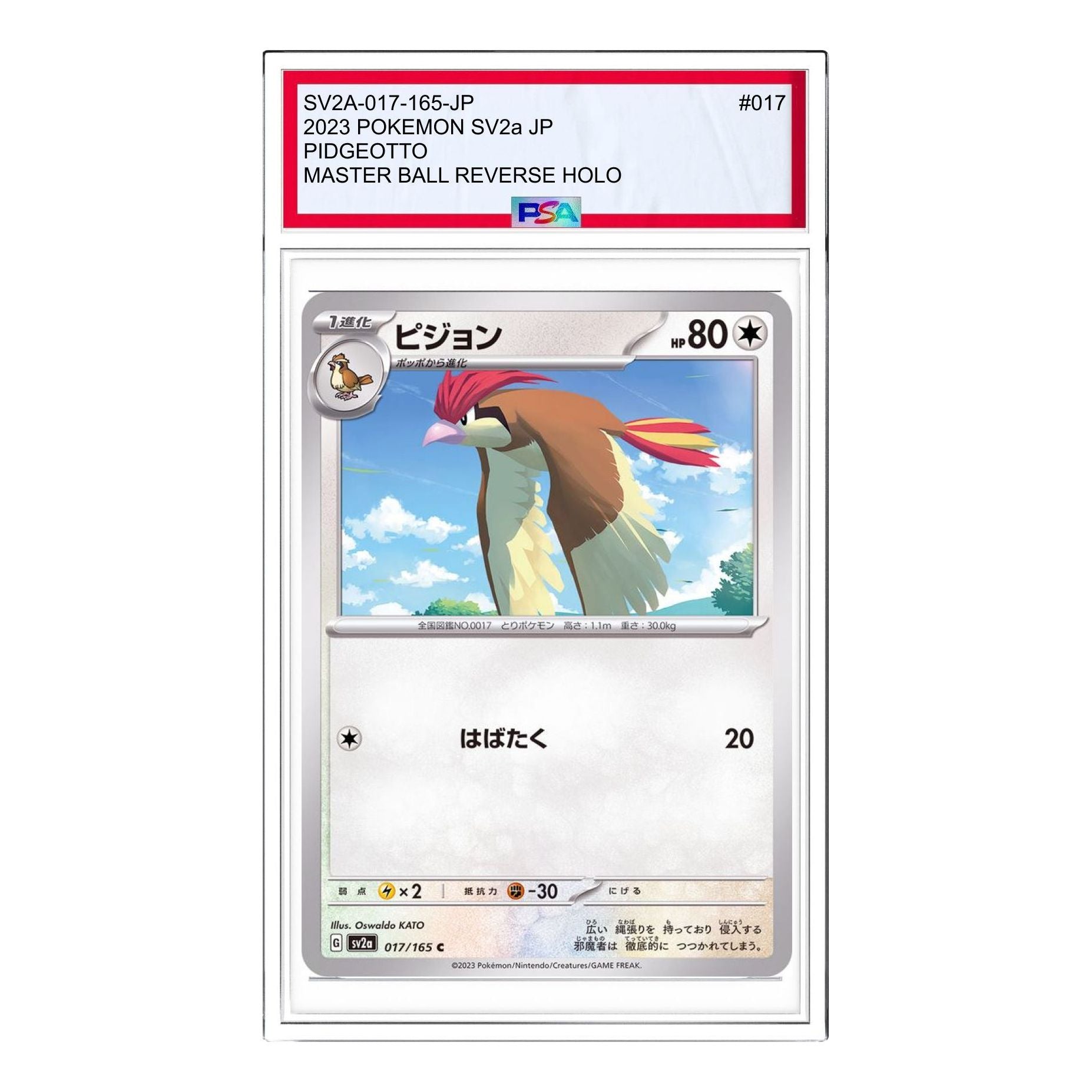 

Карта Pokemon Pokemon Card 151 [SV2a 017/165] 'Pidgeotto C'