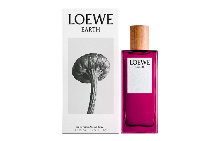 Натуральные водные духи Chypre Floral Eau De Parfum EDP Violet Touch Me Not 50 мл/100 мл LOEWE, 50ml — фото 4