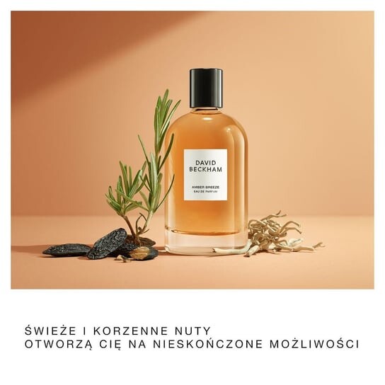 Парфюмерная вода для мужчин David Beckham Collection Amber Breeze, 100 мл — фото 4