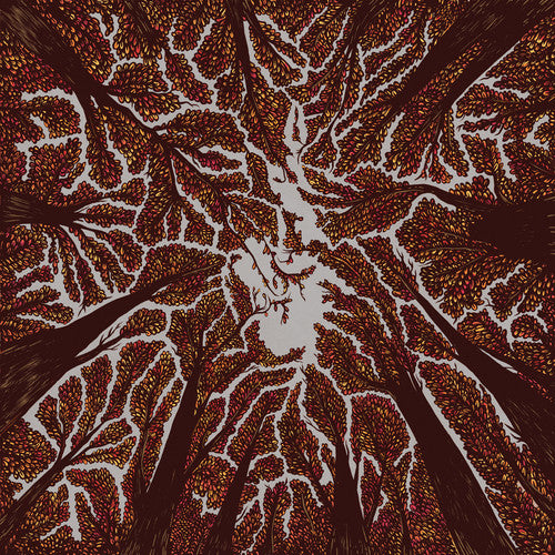 

Виниловая пластинка Trash Boat: Crown Shyness