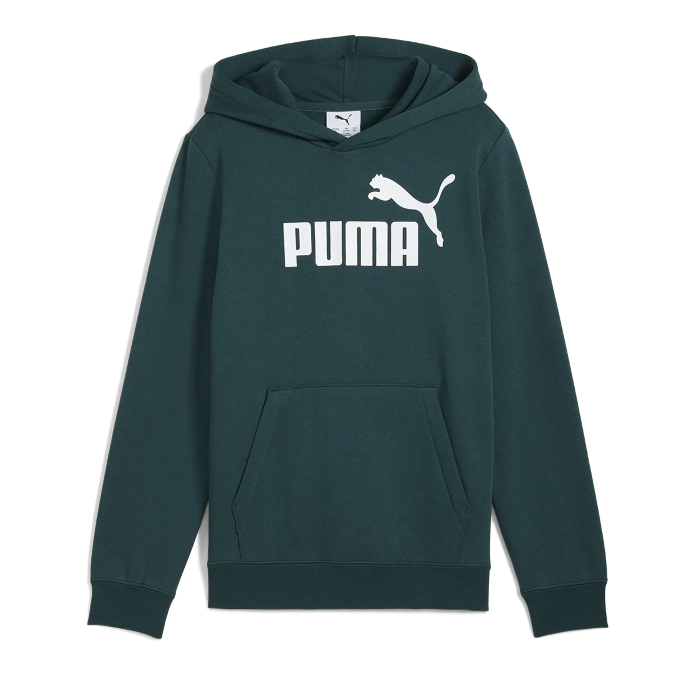 

Толстовка ESS No. 1 Logo FL B Унисекс Puma, зеленый
