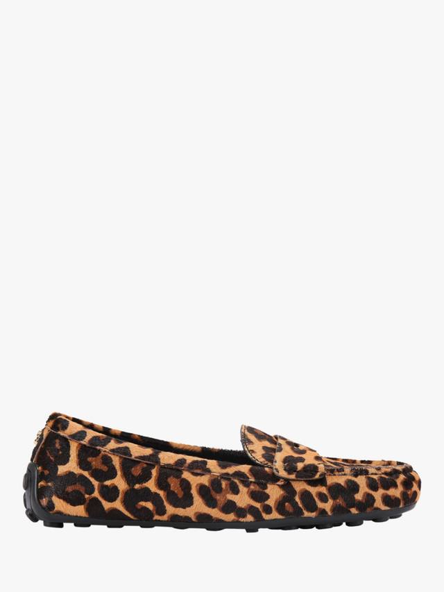 Avola Leopard Loafers Carvela, Brown Dark