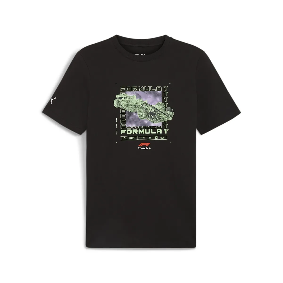 

Футболка PUMA "Мужская футболка с логотипом F1", черный