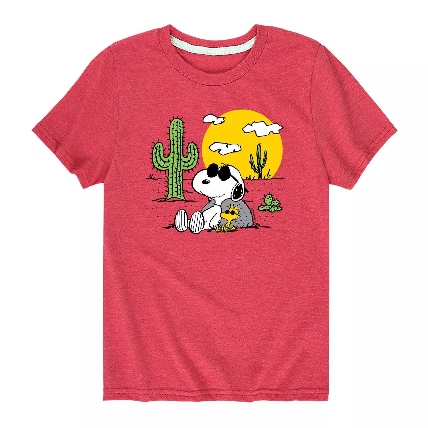 

Футболка с рисунком Peanuts Snoopy Desert для мальчиков 8–20 лет Licensed Character