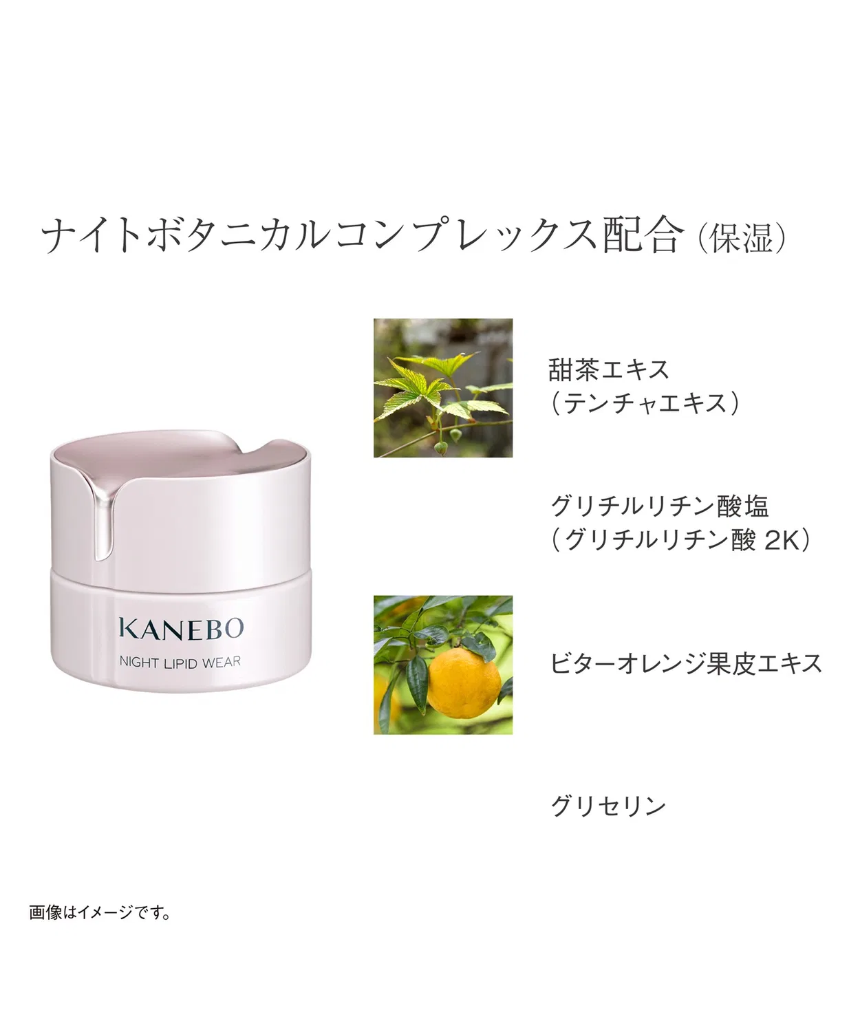 Ночной крем Kanebo Night Lipid Wear увлажняющий — фото 3