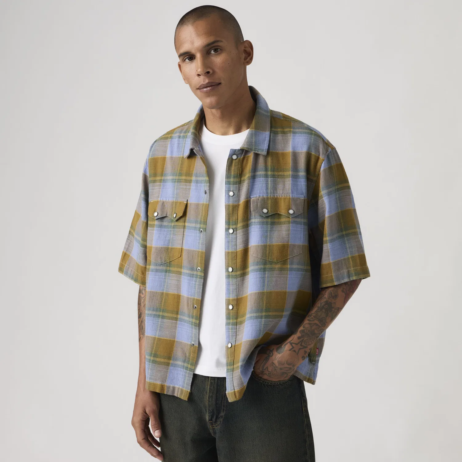Рубашка в стиле вестерн свободного кроя с коротким рукавом Levi's, Multi-Color