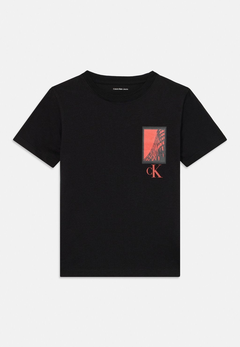 

Футболка с принтом SEASONAL ENTRY PRICE LOGO UNISEX Calvin Klein Jeans, черный