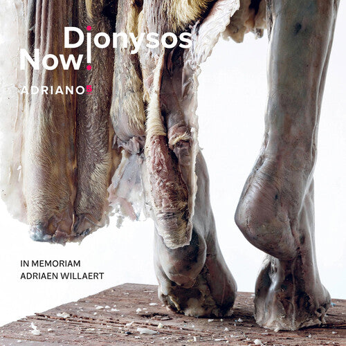 

CD диск Dionysos Now: Adriano 5