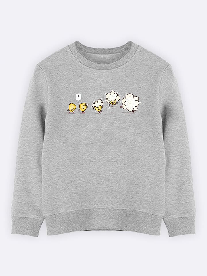 

Толстовка WOOOP Sweatshirt Microwavolution, серый