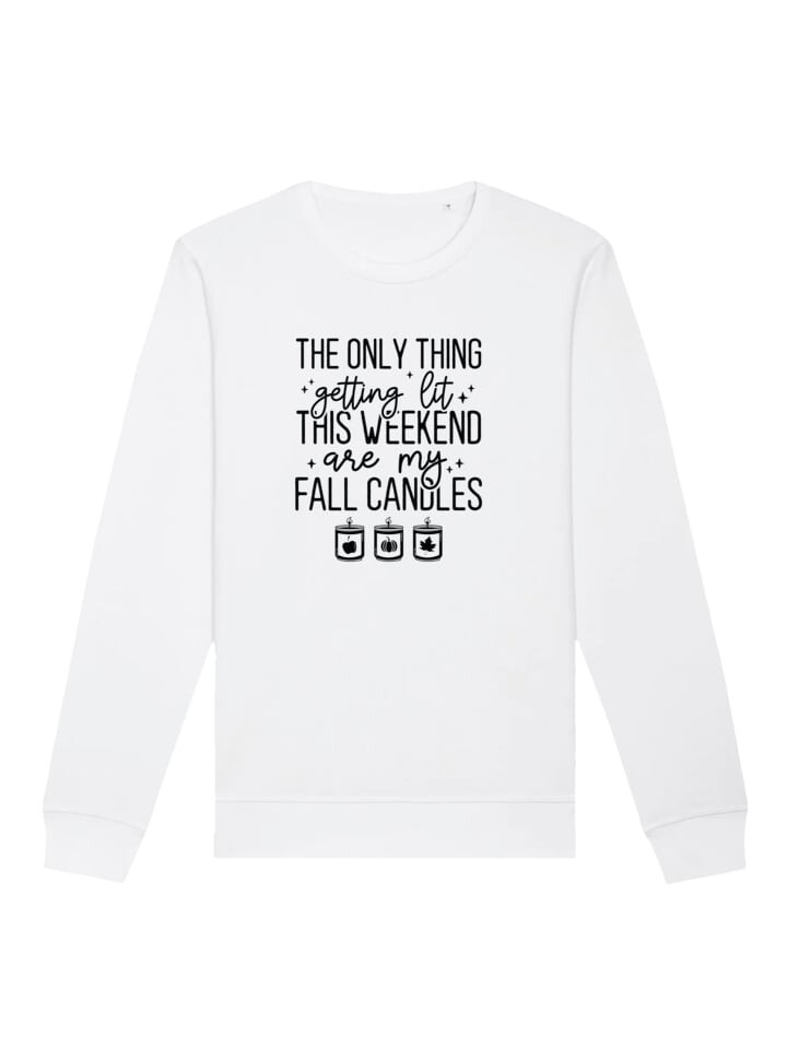 

Толстовка F4NT4STIC Sweatshirt getting lit fall candles, белый