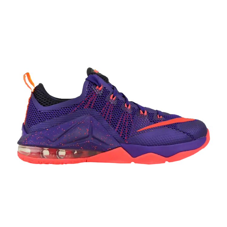 

Кроссовки Nike Lebron 12 Low GS, фиолетовый