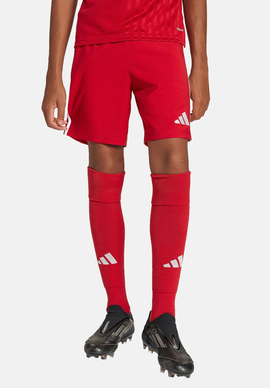 

Спортивные шорты FUSSBALL Adidas Performance, красный