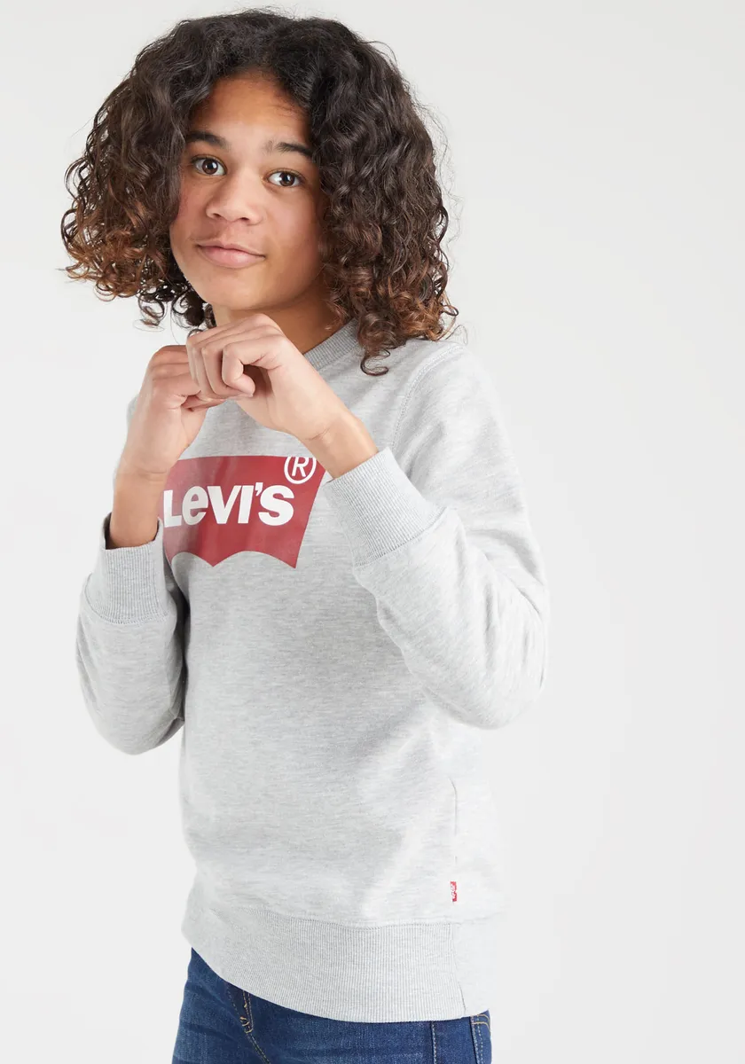 Детская толстовка Levi's "LVB LVB FRENCH TERRY BATWING", для МАЛЬЧИКОВ Levi'S Kids, серый — фото 3