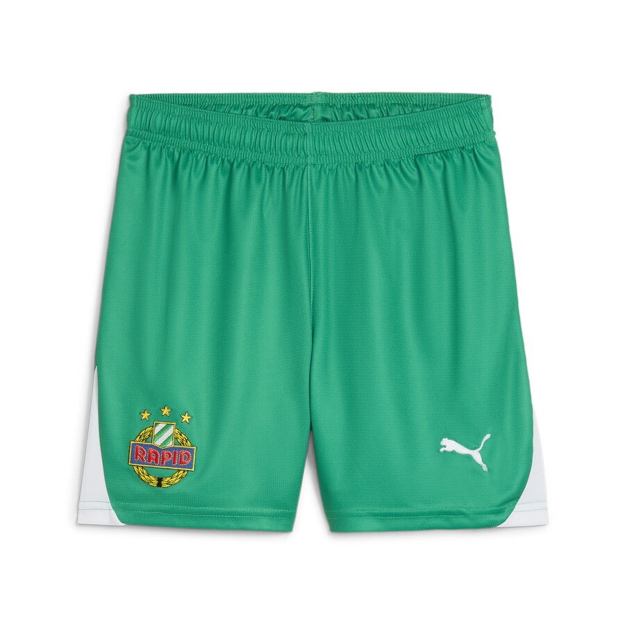 

Брюки PUMA Regular Workout Pants SK Rapid Wien, зеленый