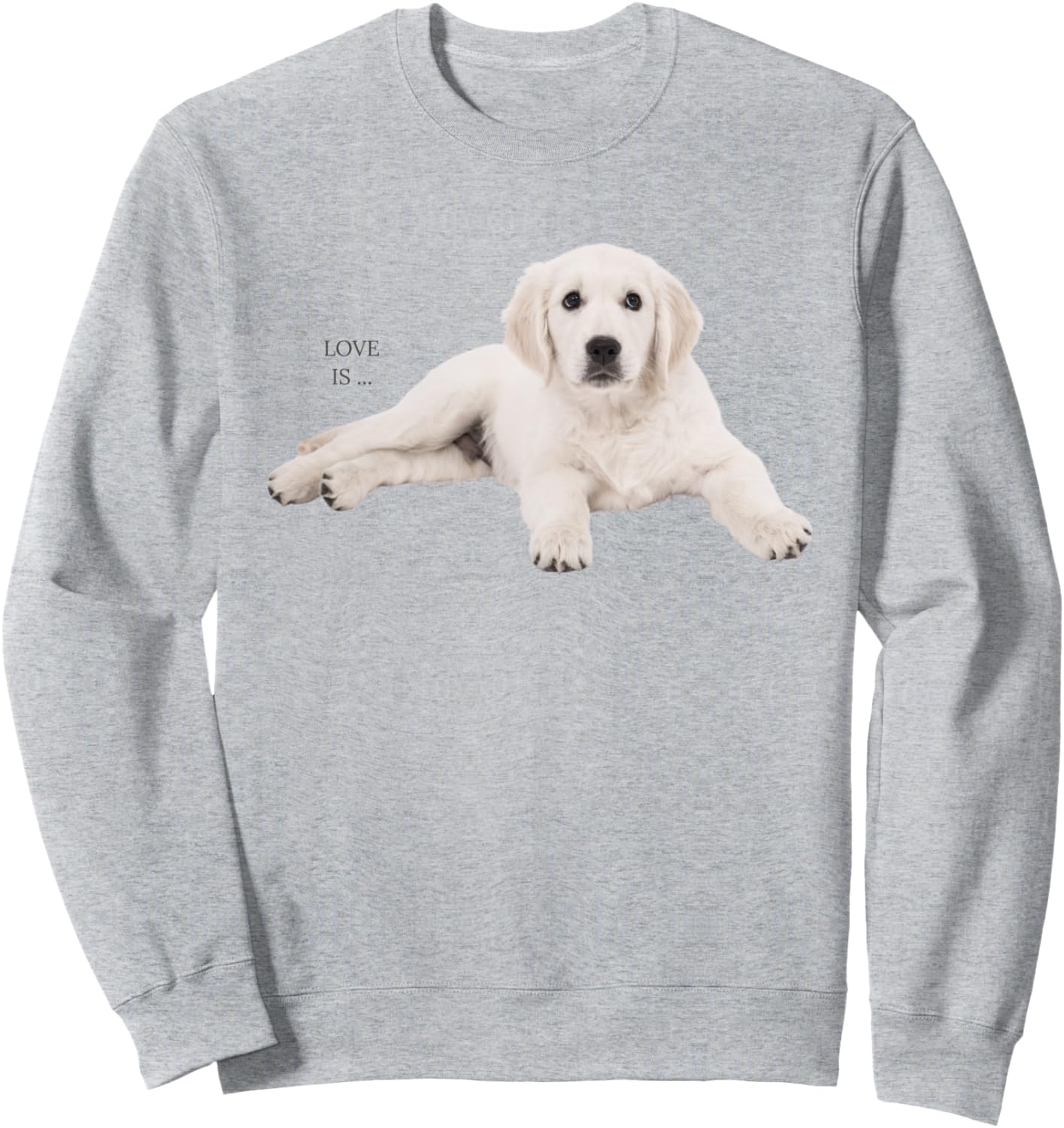 

Толстовка с белым лабрадором-ретривером, толстовка с желтым лабрадором для мамы и папы Labrador Retriever Shirts And Gifts, Желтый, Толстовка с белым лабрадором-ретривером, толстовка с желтым лабрадором для мамы и папы Labrador Retriever Shirts And Gifts